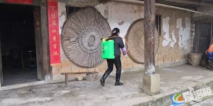 涪陵最新疫情实时动态更新