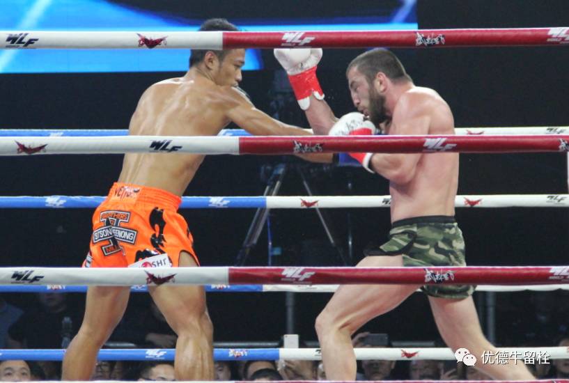 达占巴动态,发展脉络、地位追溯