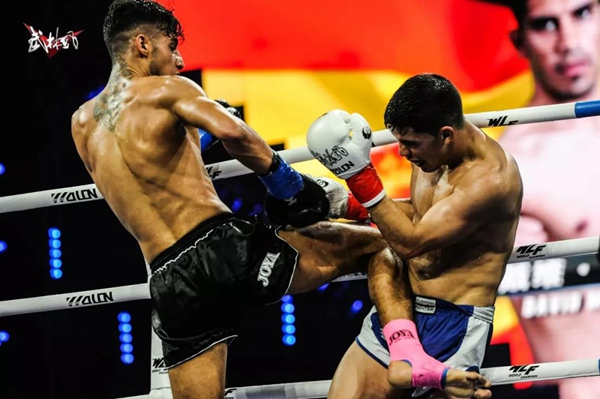 达占巴动态，发展脉络、地位追溯