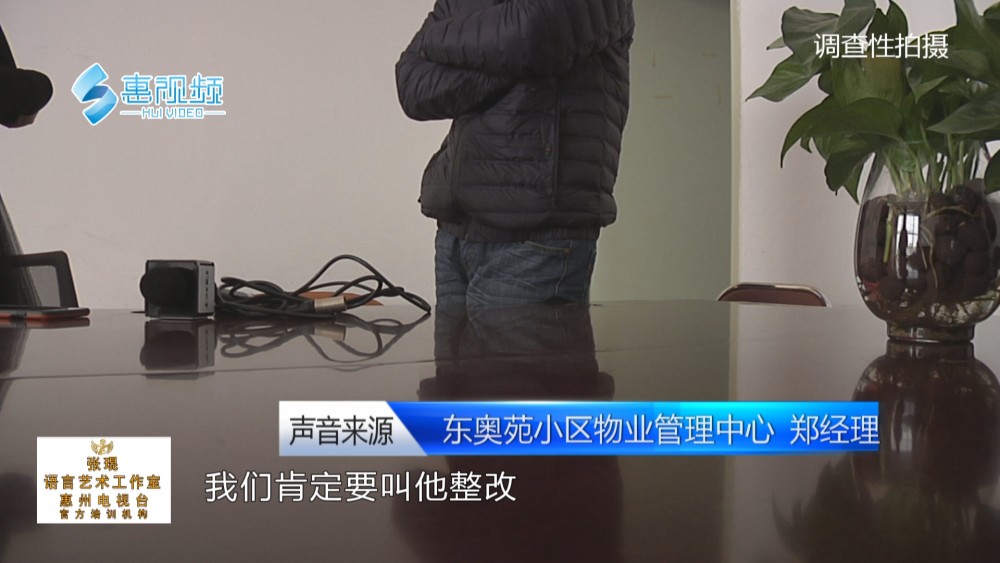 惠州东奥苑最新动态揭秘,全面指南与步骤详解