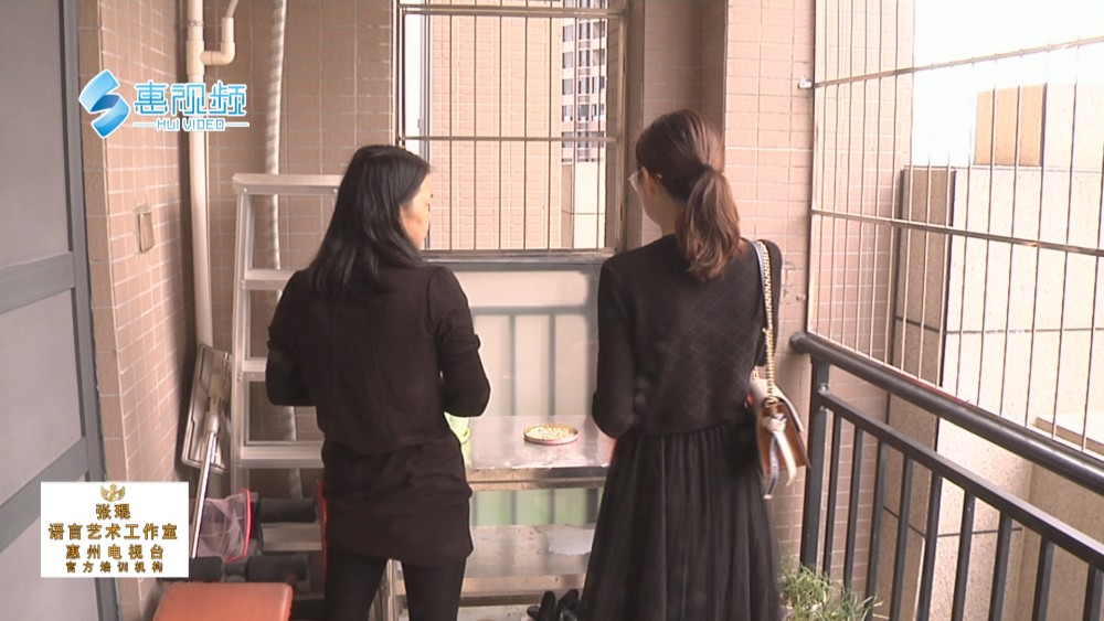 惠州东奥苑最新动态揭秘,全面指南与步骤详解