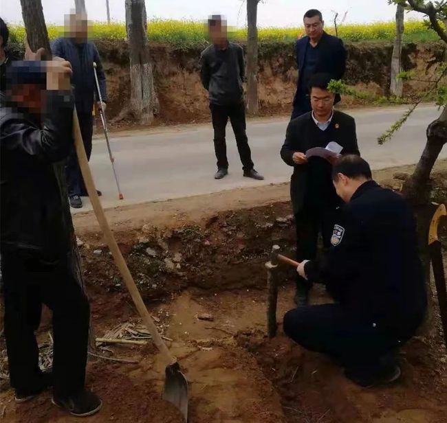 骨头案最新进展,迷雾重重,真相探寻之路