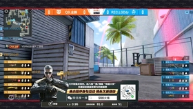 热血沸腾的电竞盛宴，枪战王者职业比赛视频回顾与赏析