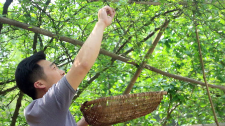 连城新鲜资讯一网打尽,不容错过!