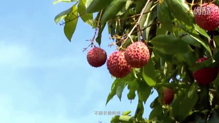 连城新鲜资讯一网打尽,不容错过!