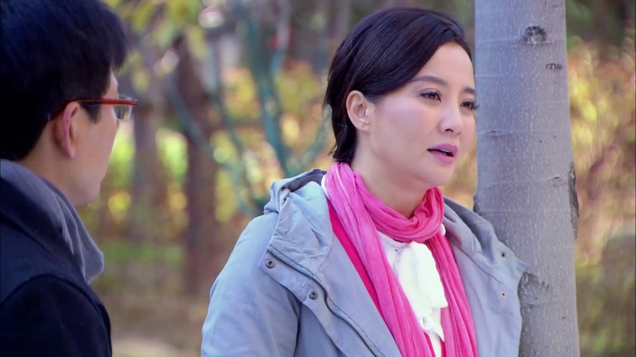 金多宝所属电视剧揭秘,详细步骤指南寻找与识别电视剧金多宝