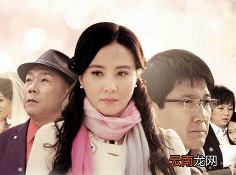 金多宝所属电视剧揭秘,详细步骤指南寻找与识别电视剧金多宝