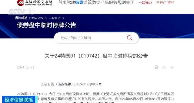 暂停上市债,暂停上市债，一段温馨的日常趣事