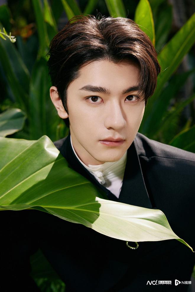 林一演员的日常,温馨与趣味的展现