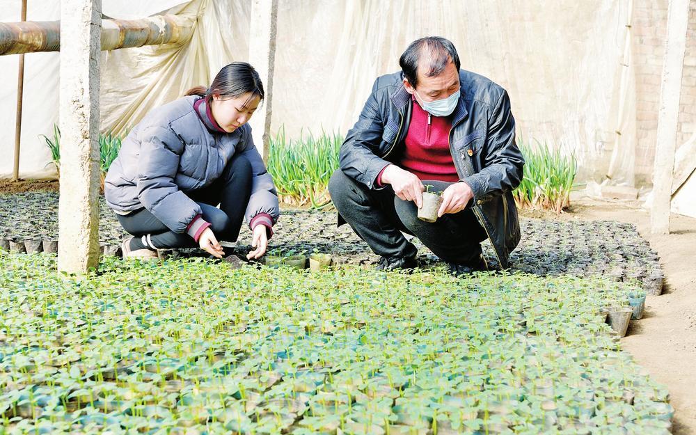 望江疫情动态，变化中的学习之旅，自信与成就感的汇聚地