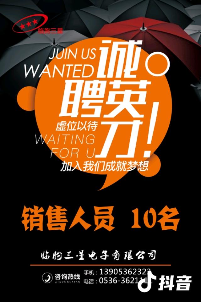 临朐最新招聘信息详解,深度分析与观点阐述