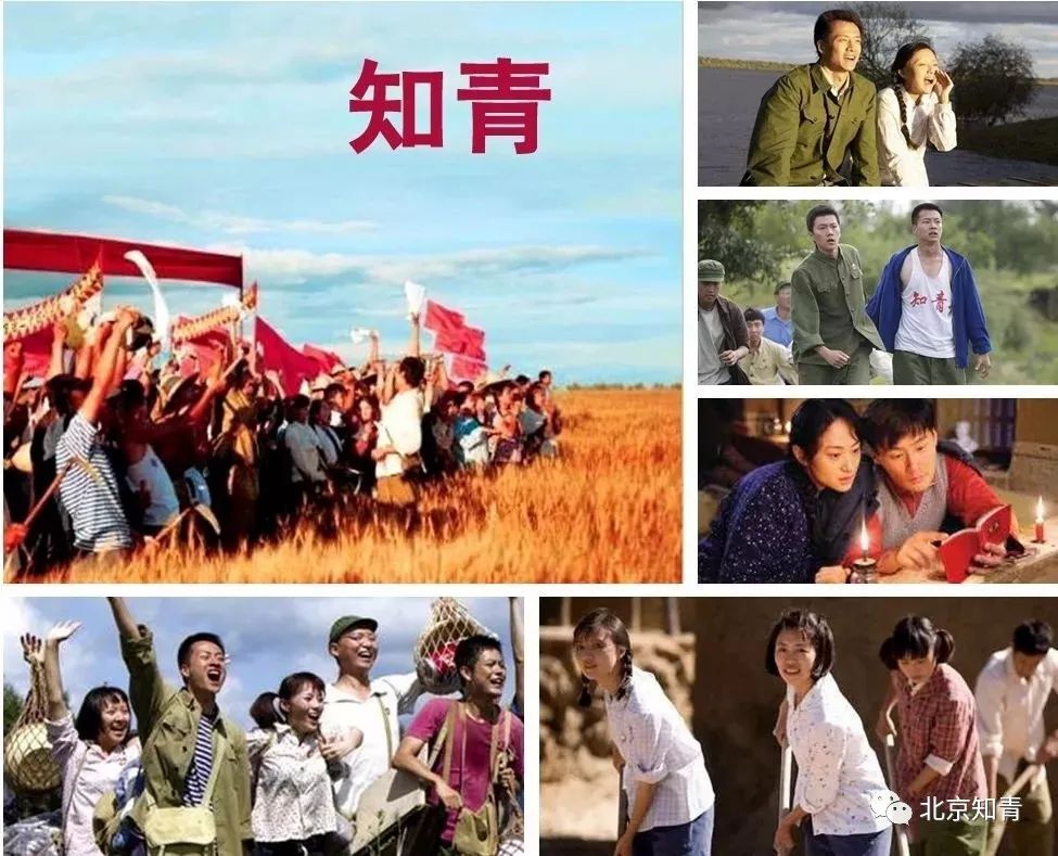 知青电视剧全集,学习之路的变迁与自信成就之源