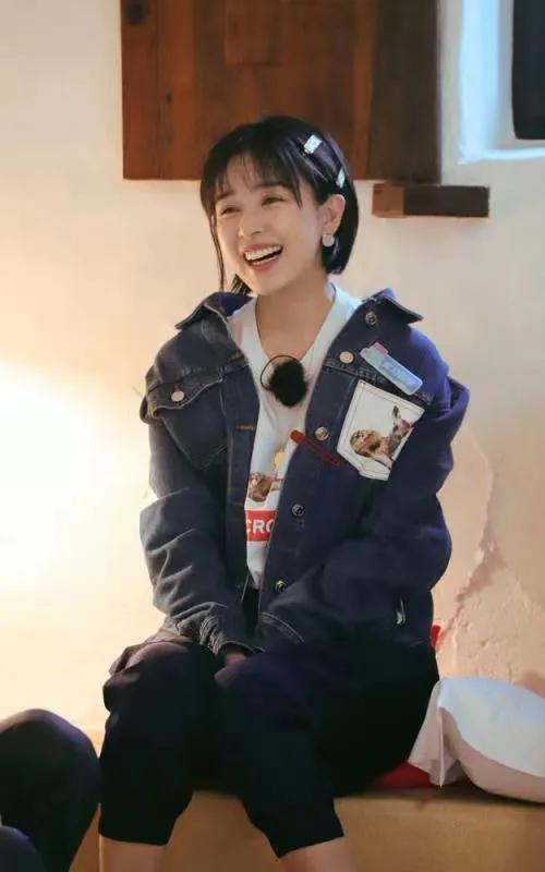 演员刘涛的辉煌历程,星光闪耀的演艺之路