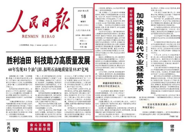 射阳最新招聘信息更新，开启职场新征程，成就自信与梦想之路