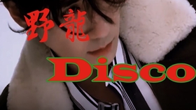 揭秘ZYL背后的明星身份,探寻小巷独特小店的故事