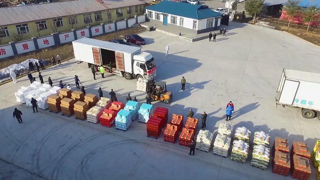 最新肉鸡防疫措施,防疫与友情的交织温暖故事