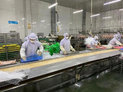 最新肉鸡防疫措施,防疫与友情的交织温暖故事