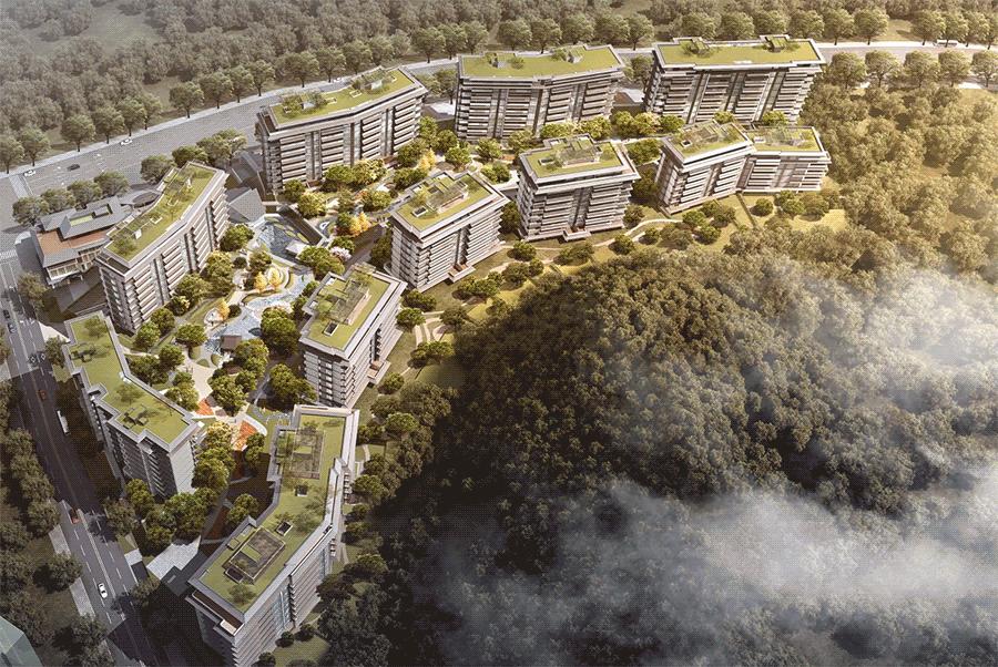 五X社区最新动态,活力社区的崭新步伐打造进行中