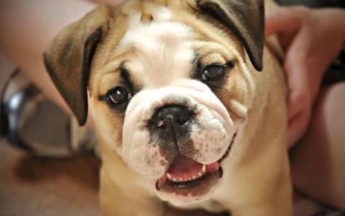 电影危险性游戏深度解析与探讨