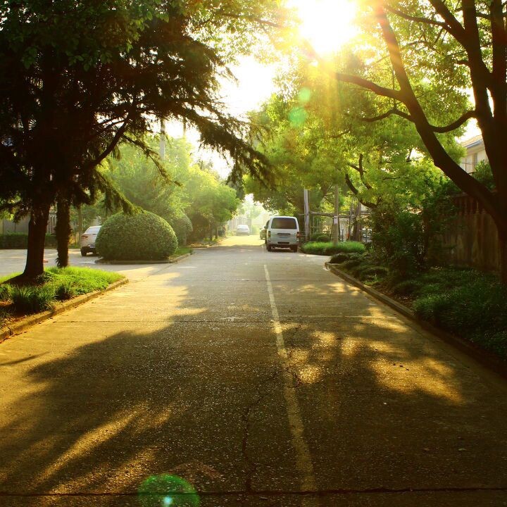 晨间美好图集,生活的艺术画卷展现魅力瞬间