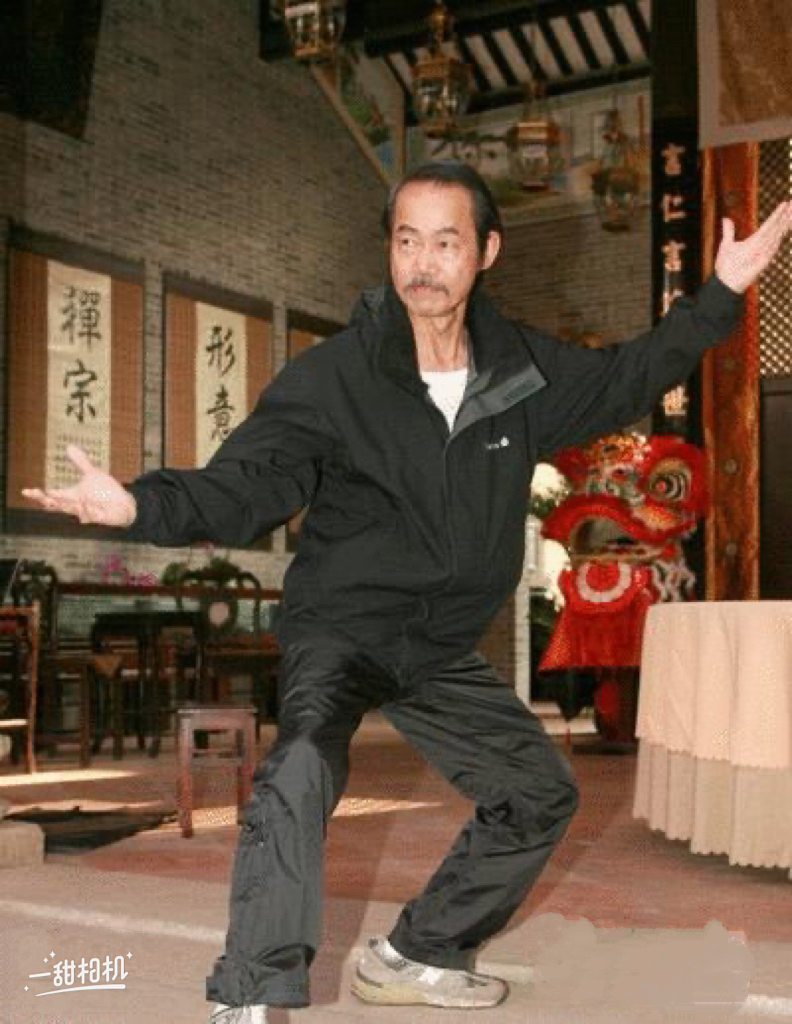 元华最新动态揭秘,最新发展及消息速递