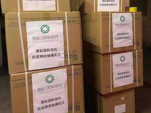 雪松控股集团股票代码,科技巨擘重塑未来,引领新生活潮流的领航者