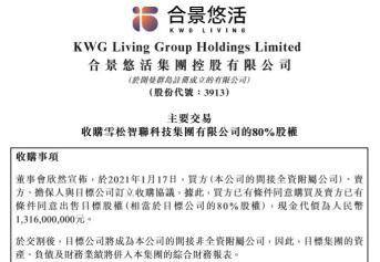 雪松控股集团股票代码,科技巨擘重塑未来,引领新生活潮流的领航者