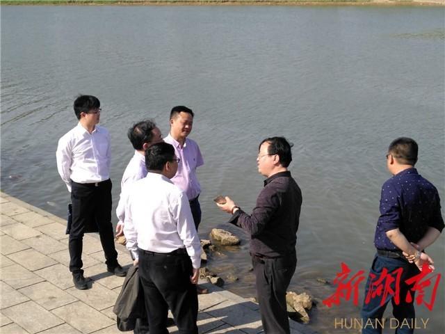 长沙龙舟比赛地点揭秘,精彩赛事等你来观!