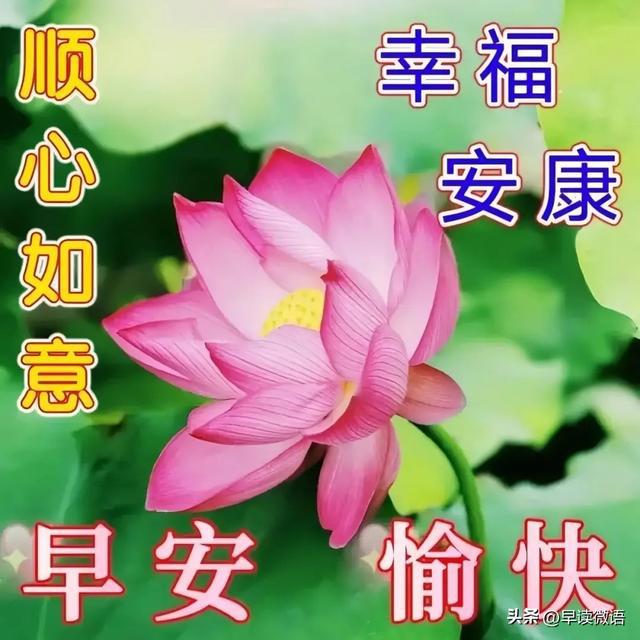 今日早安美图分享集锦