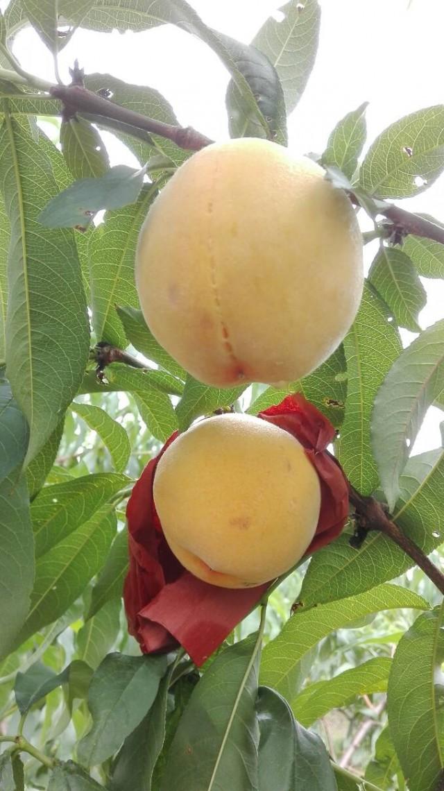 北仑上市公司科技明珠引领智能生活新时代