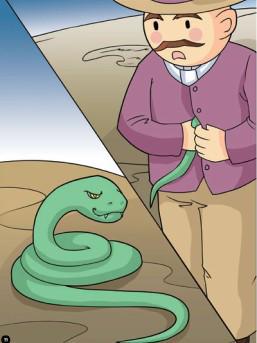 最新农夫与蛇,心灵洗涤的自然美景之旅体验分享