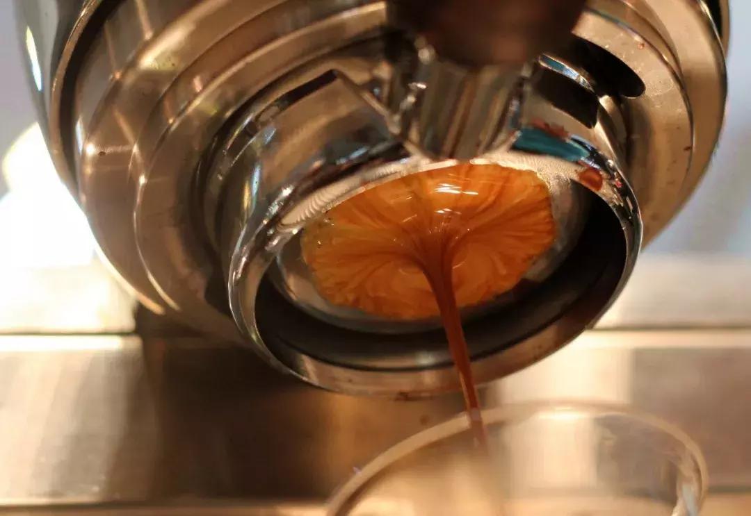 苦咖啡演员表介绍,演绎一杯温馨情感咖啡的演员们