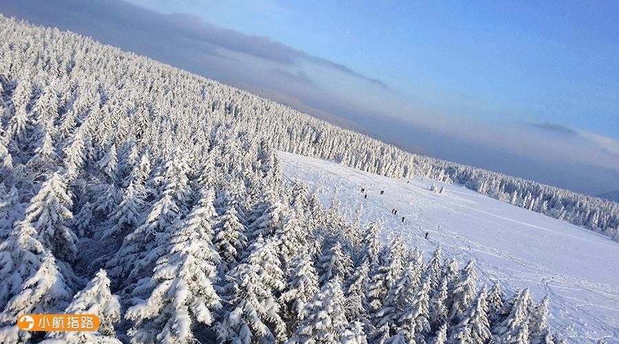 雪乡新动态,自信与成就展现,励志之旅启程