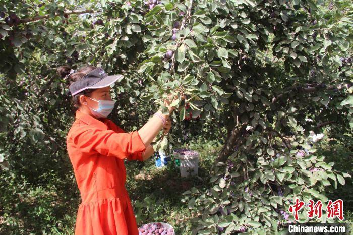 演员徐淑龙,星途闪耀的演绎人生??