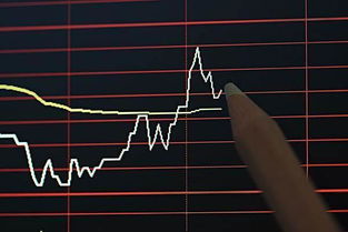 股票行情延时深度探究,背景、事件与影响分析