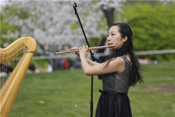 长笛品牌与价格大全,一场音乐的盛宴