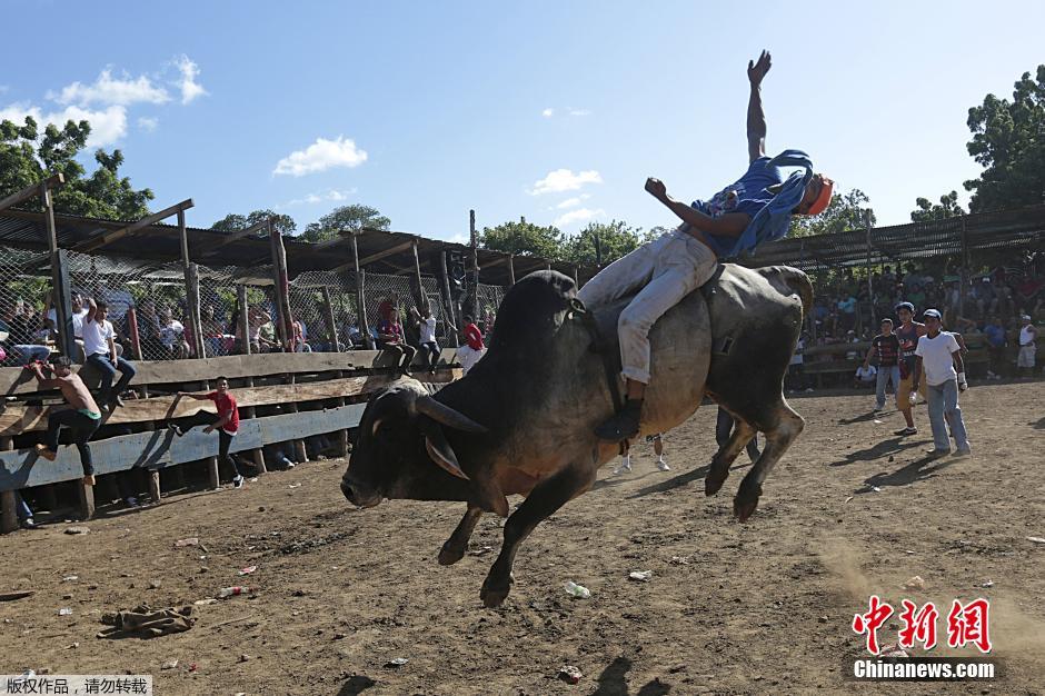 科技重塑传统,南美洲骑牛比赛视频,感受极致激情