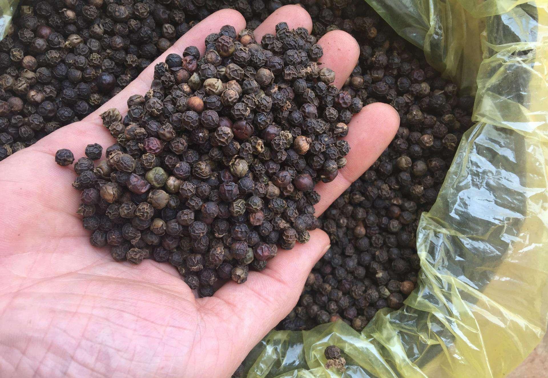 胡椒最新价格,味道在变,你的生活也在变。