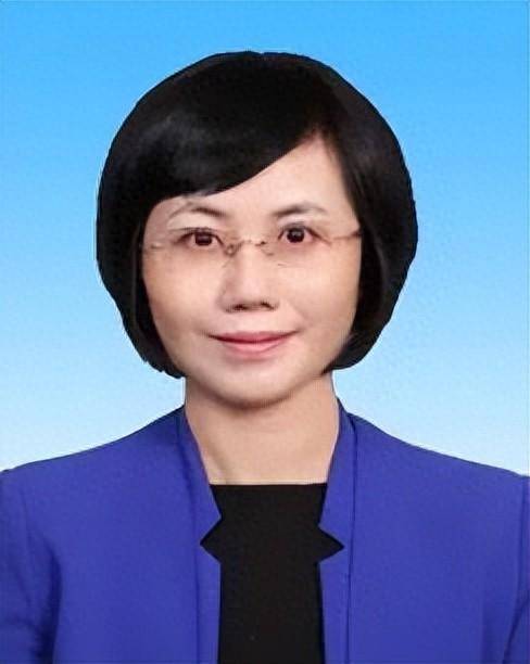 吴江区委常委最新名单揭晓,步骤指南与概览