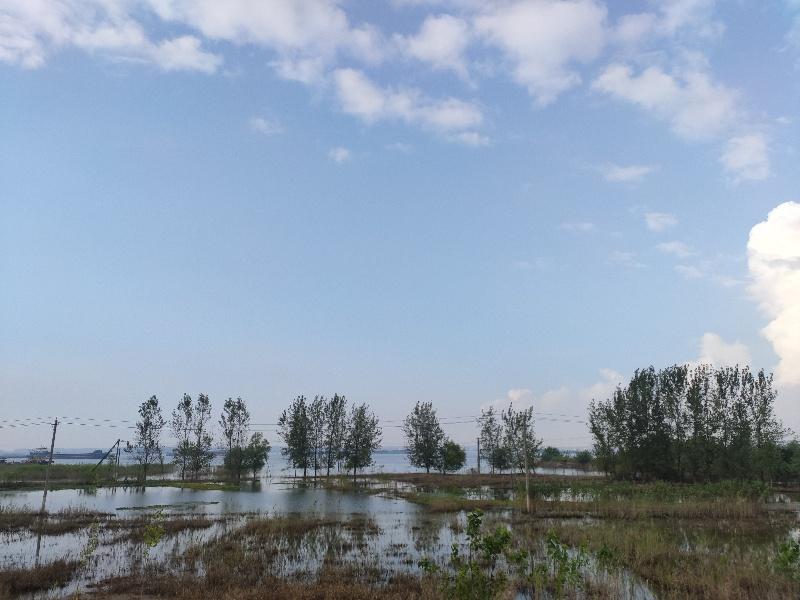 工程机械快换辅具 第84页