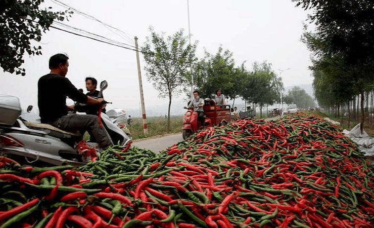 伊川房价动态信息及全面指南详解