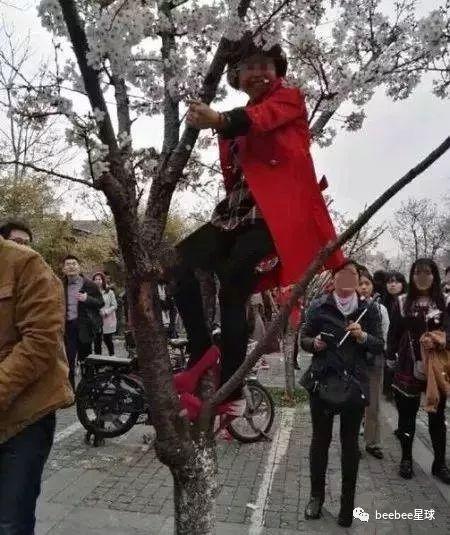 时代背景下的影像革命,最新拍照流行趋势