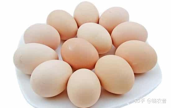 山东今日鸡蛋最新报价,火热更新!