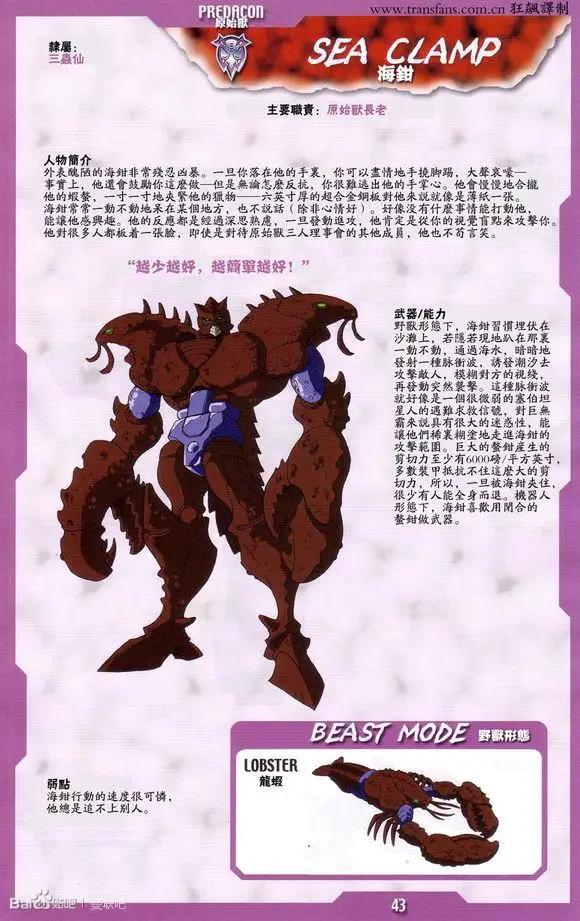 美国动漫人物命名指南与技巧