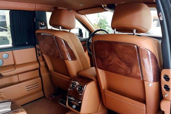 张大革最新动态,拥抱自然,开启内心宁静之旅