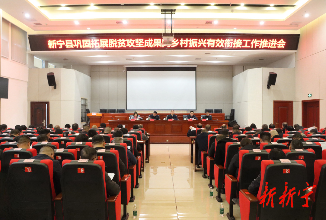 湖南新宁县最新资讯概览,全面解读当地动态与资讯更新