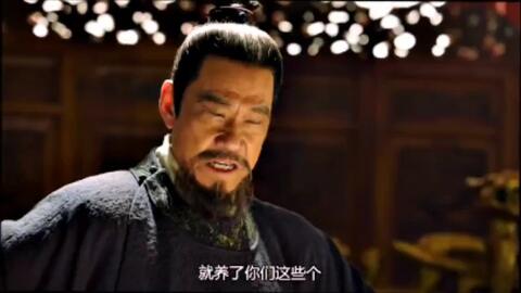 大明风华电视剧免费观看，历史与艺术交融的视觉盛宴