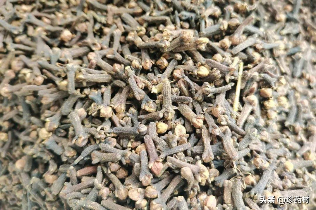 巷弄深处的丁香独特馥郁行情