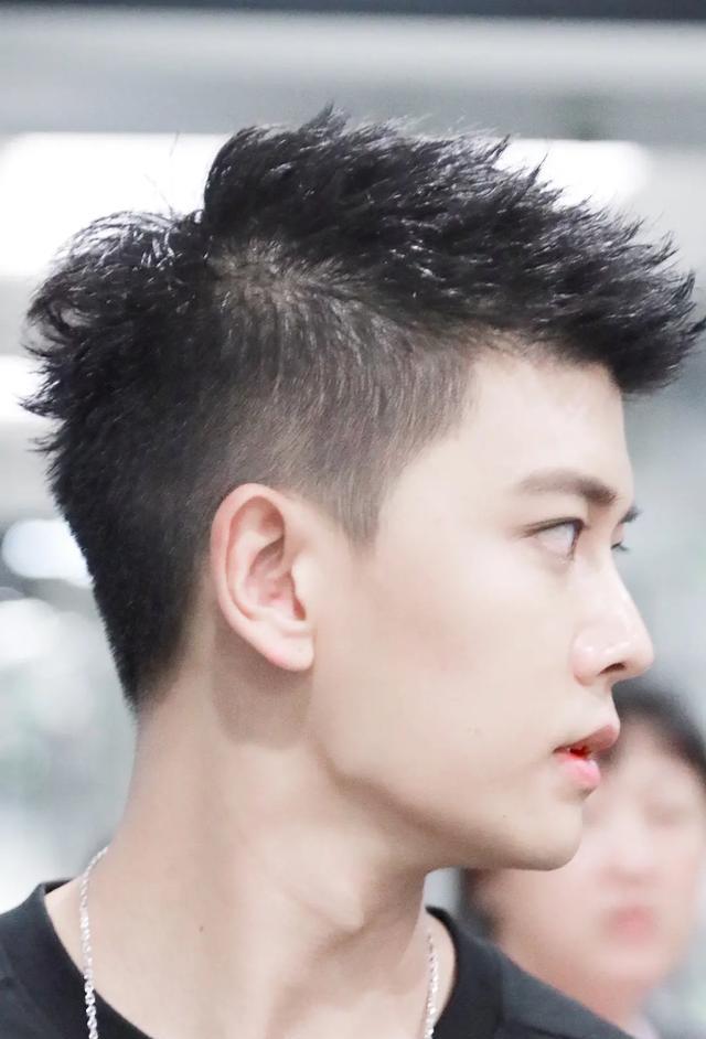 揭秘明星侧脸的独特魅力，美丽与魅力的神秘面纱