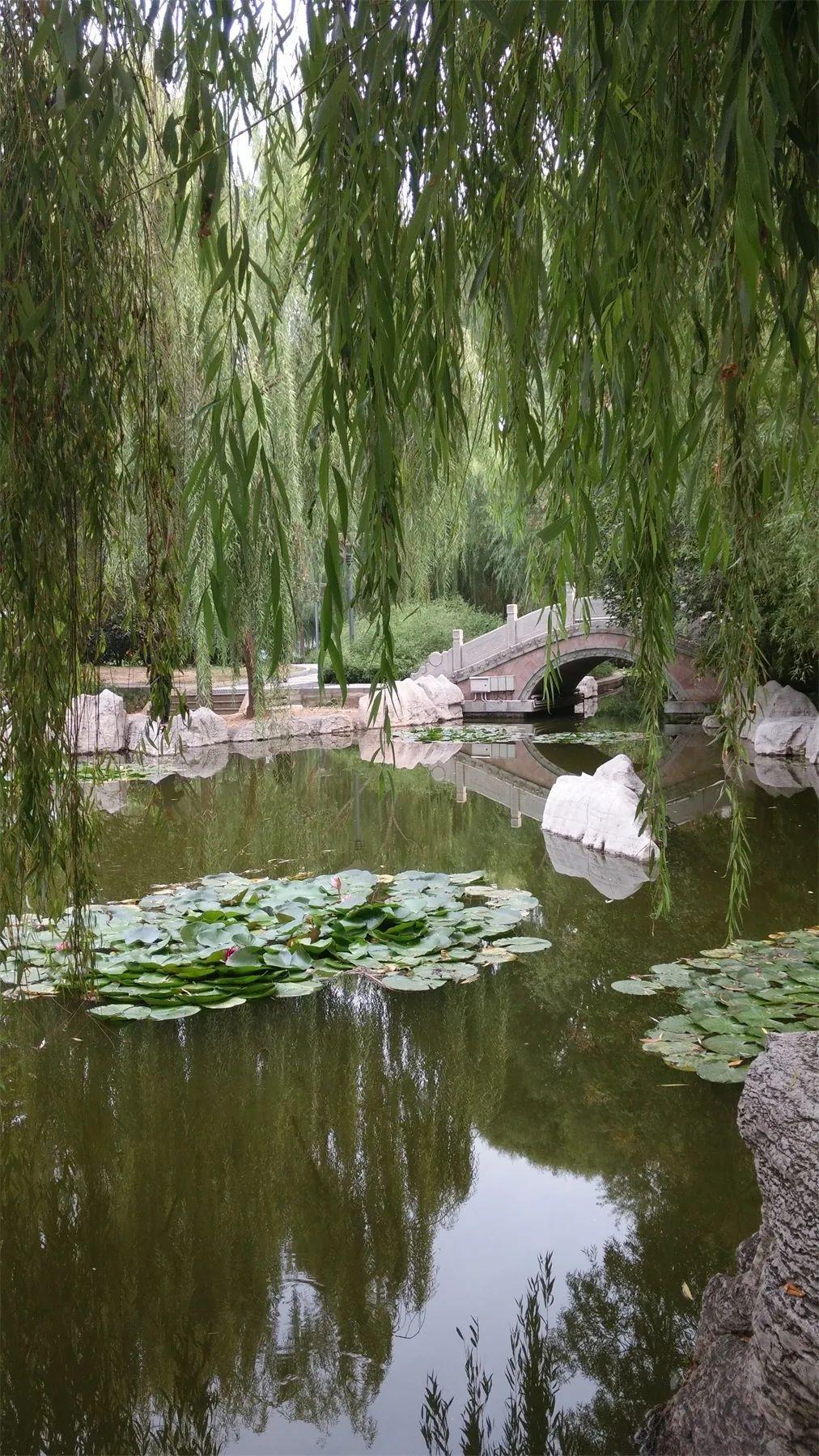 投票比赛，智慧与勇气的较量，激发自信与成就感的火花之旅